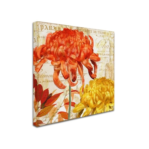 Color Bakery 'Chrysanthemums I' Canvas Art,24x24